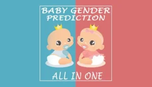 Gender Predictor