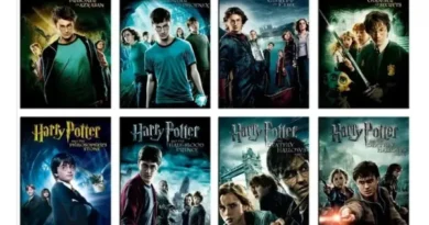 Harry Potter movies in order