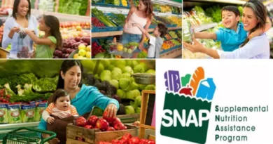 Supplemental Nutrition Assistance Program